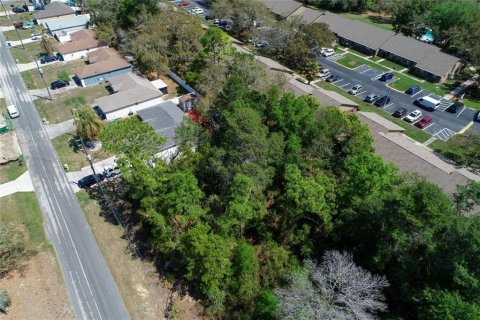 Land in Spring Hill, Florida № 2163803 - photo 4