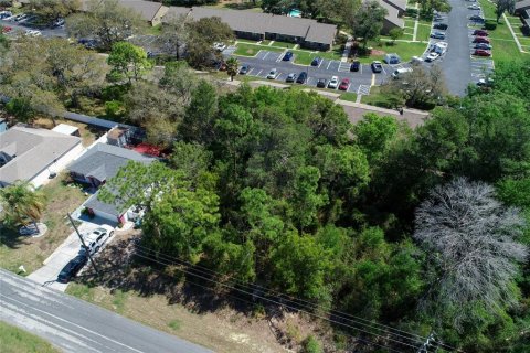 Land in Spring Hill, Florida № 2163803 - photo 3