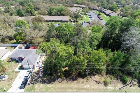 Land in Spring Hill, Florida № 2163803 - photo 19