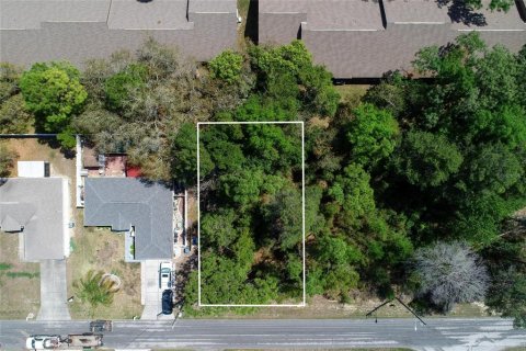 Land in Spring Hill, Florida № 2163803 - photo 1