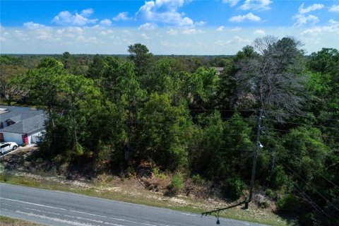 Land in Spring Hill, Florida № 2163803 - photo 2