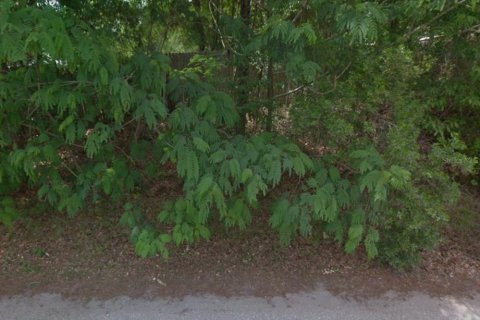 Land in Middleburg, Florida № 1834790 - photo 10
