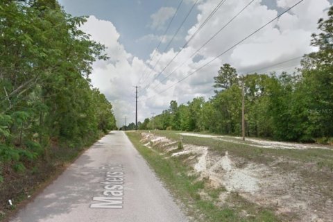 Land in Middleburg, Florida № 1834790 - photo 9