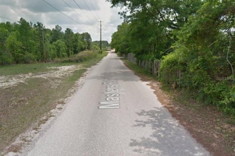 Land in Middleburg, Florida № 1834790 - photo 7