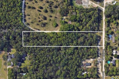 Land in Middleburg, Florida № 1834790 - photo 5