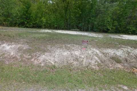 Land in Middleburg, Florida № 1834790 - photo 8