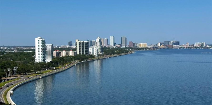 Condo à Tampa, Floride, 2 chambres № 1909240