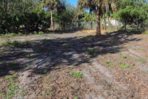 Commercial property in Clewiston, Florida № 2058381 - photo 4