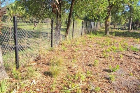 Commercial property in Clewiston, Florida № 2058381 - photo 7