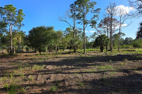 Commercial property in Clewiston, Florida № 2058381 - photo 3