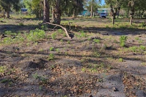 Commercial property in Clewiston, Florida № 2058381 - photo 5