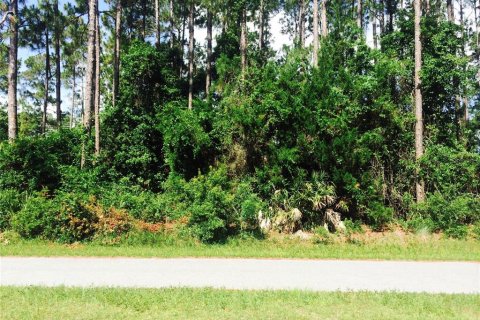 Terreno en venta en Palm Coast, Florida № 1580839 - foto 1