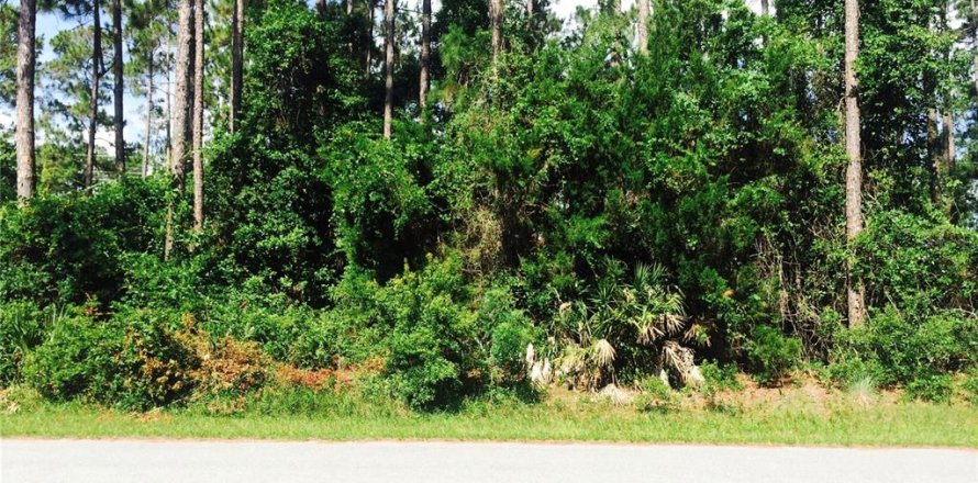 Terreno en Palm Coast, Florida № 1580839