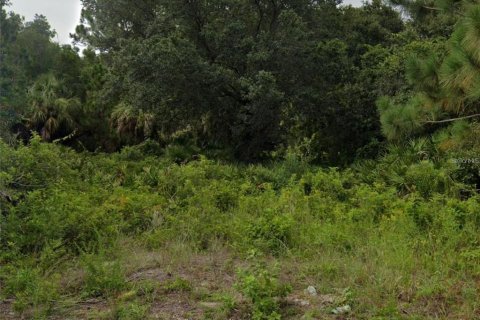 Land in North Port, Florida № 2163054 - photo 3
