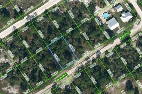 Land in Lake Placid, Florida № 2223969