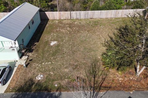 Land in Steinhatchee, Florida № 2106491 - photo 2