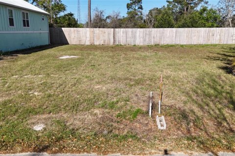 Land in Steinhatchee, Florida № 2106491 - photo 6