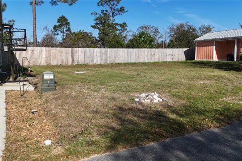 Land in Steinhatchee, Florida № 2106491 - photo 4