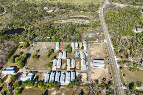 Land in Steinhatchee, Florida № 2106491 - photo 12