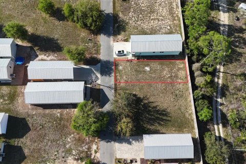 Land in Steinhatchee, Florida № 2106491 - photo 14