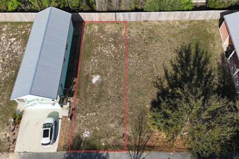 Land in Steinhatchee, Florida № 2106491 - photo 3