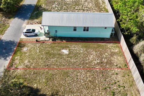 Land in Steinhatchee, Florida № 2106491 - photo 8