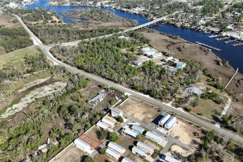 Terrain à Steinhatchee, Floride № 2106491