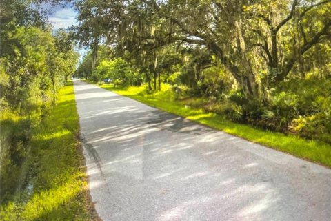 Land in Port Charlotte, Florida № 2163571 - photo 2