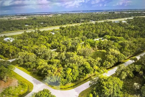 Land in Port Charlotte, Florida № 2163571