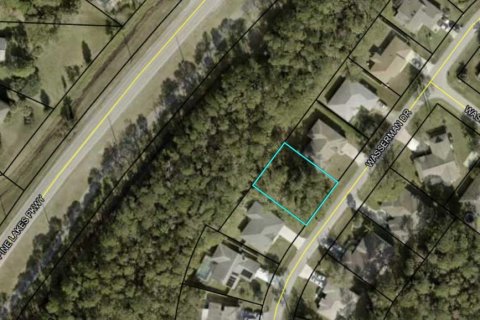 Land in Palm Coast, Florida № 1629281 - photo 8