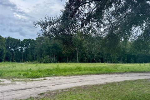 Land in Ocala, Florida № 2368612