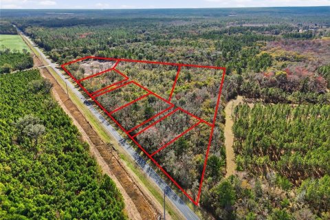 Land in Brooker, Florida № 2231792