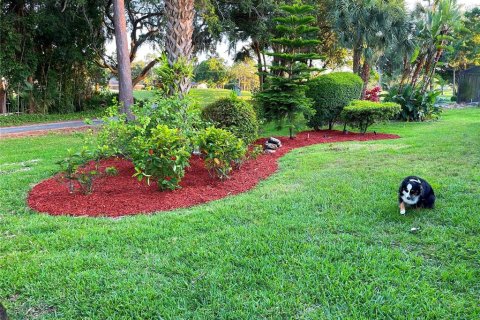Villa ou maison à louer à Sarasota, Floride: 3 chambres, 197.42 m2 № 1835253 - photo 4