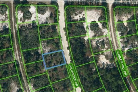Land in Lake Placid, Florida № 2223994