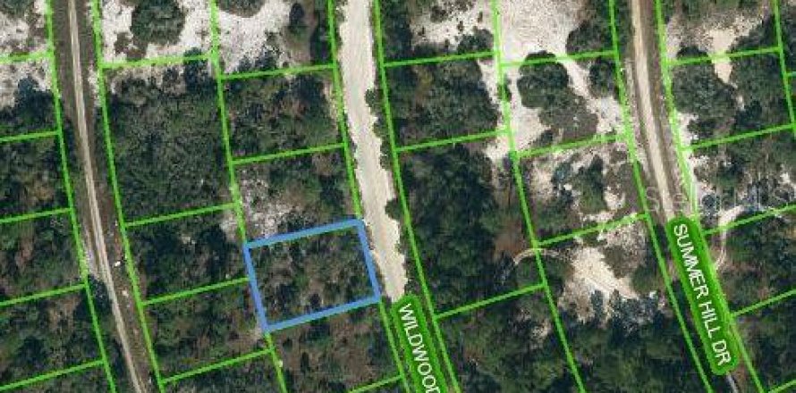 Land in Lake Placid, Florida № 2223994