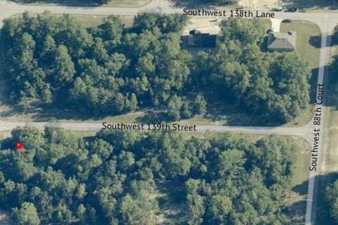 Land in Ocala, Florida № 2228924