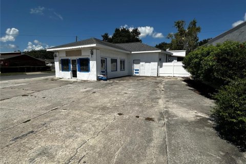 Immobilier commercial à louer à Lake Wales, Floride: 243.78 m2 № 1866469 - photo 2