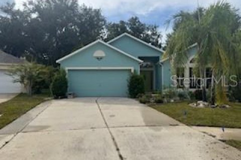 House in Valrico, Florida 3 bedrooms, 174.1 sq.m. № 1917199 - photo 1