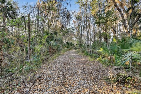 Terreno en venta en Leesburg, Florida № 2144678 - foto 7