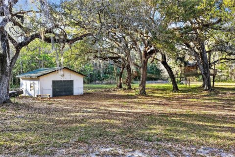 Terreno en venta en Leesburg, Florida № 2144678 - foto 12