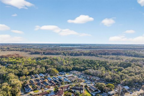 Terreno en venta en Leesburg, Florida № 2144678 - foto 20