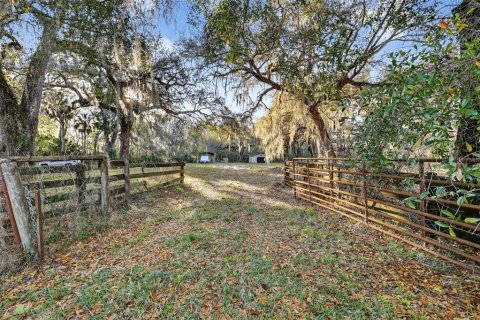 Terreno en Leesburg, Florida № 2144678