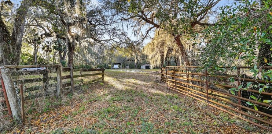 Terreno en Leesburg, Florida № 2144678