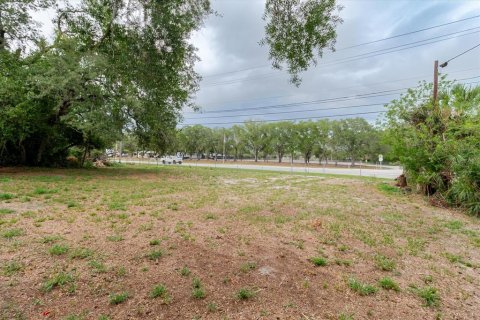 Land in Tampa, Florida № 2112650 - photo 9