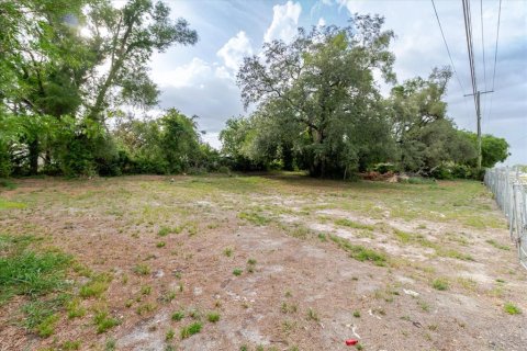 Land in Tampa, Florida № 2112650 - photo 8