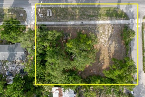 Land in Tampa, Florida № 2112650 - photo 7