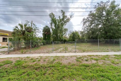 Land in Tampa, Florida № 2112650 - photo 10