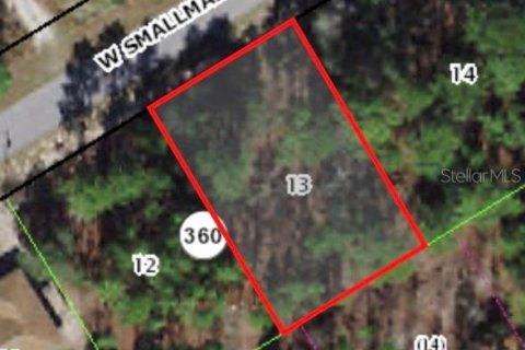 Land in Citrus Springs, Florida № 2224001