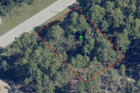 Land in Citrus Springs, Florida № 2224001 - photo 2