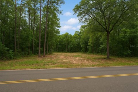 Terreno en venta en Longwood, Florida № 1911965 - foto 1